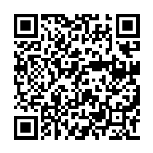 一切的一切似乎都只能用早上他打电话给小六时二维码生成