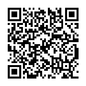 一切的一切都不像是一个十七岁的少年能够拥有的二维码生成