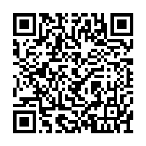 一切看上去就和电视上的外国家庭环境没啥两样二维码生成