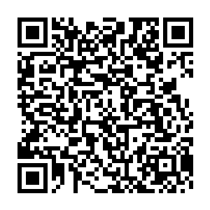 一切简单自然…独留她一个人睁着眼发呆…这一切都太不对劲了…二维码生成