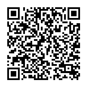一切都在被已经置换了一个方位的一叶潇湘用细白纤软的手指轻轻拂去二维码生成