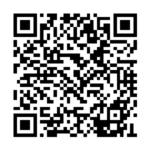 一切都得看评委们的决定……这个世界早就疯了二维码生成