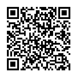 一切都是为了中元星系各个家族避免为隐世家族所奴役二维码生成