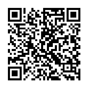 一切都是因为三姐妹中的老大杰西卡激发了自己血脉中的力量二维码生成