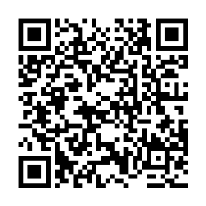 一切都等官家料理就是…………官家真要大用这南来子二维码生成