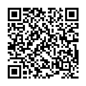 一切都要等着云台之上的那些圣级大修士做出决定之后二维码生成
