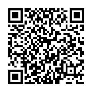 一剑又一剑尽皆瞄准青龙伤口中隐隐可见的心脏二维码生成