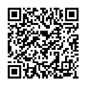 一副不可置信的样子看着那插在巨蟒身上的匕首二维码生成