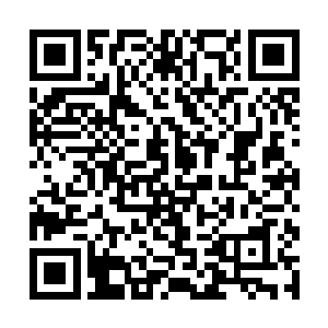 一副严师模样的站在琴瑟色面前指点着她弹奏七弦琴二维码生成