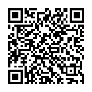 一副想与十年级学长们商量的样子让十年级的人郁闷非常二维码生成