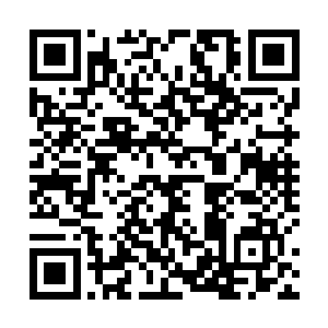 一副想要从林烽的身上探索出不为人知的秘密来的样子二维码生成