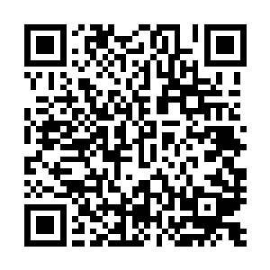 一副猪下水都已经化作各种卤肉分门别类的陈列在案板上了二维码生成