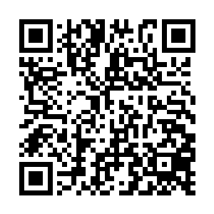 一副讨好的嘴脸把柳家和陈家的小贱人都往家里请二维码生成