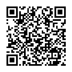 一力推动了整个投资计划的女高管倒没有过分客套二维码生成