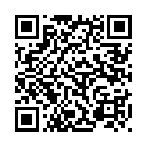 一动不动的……似乎没有半点进展二维码生成