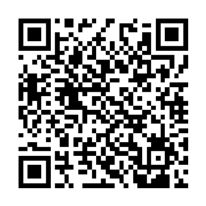 一千万人就有至少一万人可能携带这种特殊的基因二维码生成
