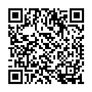 一千年以后自己的朋友们肯定都不在这个世界了二维码生成