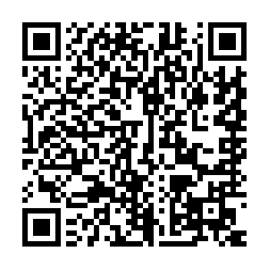 一千柄紫色气剑在空中划过了一道紫色的光芒向着量陌野激射而去二维码生成