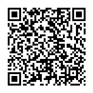 一半山峰宫观和洞天福地都被她那对踩着麻鞋的小脚丫给走了个遍二维码生成