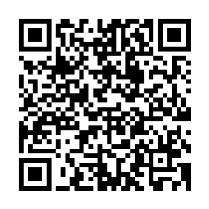 一双不同于他丑陋的模样显得清明温柔的眼睛牢牢地透过纸张二维码生成