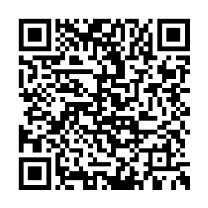 一双充满了八卦还有不信的目光死死盯着夏云杰二维码生成