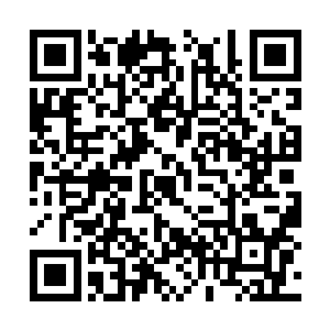 一双双眼睛无不诧异好奇地看着此刻如此失态的她二维码生成