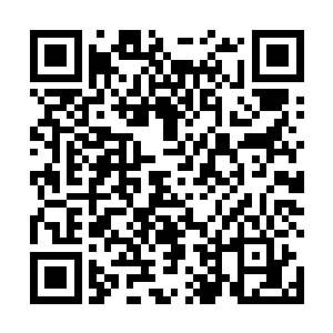 一双双被施加了嗜血之术的赤红眸子散发着骇人的光芒二维码生成