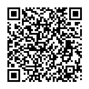 一双完美的翅膀在许紫烟的背后瞬间生成・是一双完全用真气凝成的翅膀二维码生成