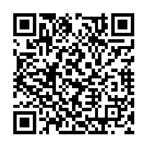 一双小手从身上不知是哪摸出了一个精致的小袋子二维码生成