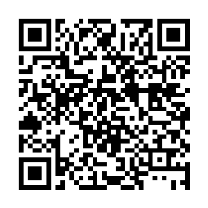 一双巨大的眼珠和长长的储蓄更是让雕像生动了几分二维码生成