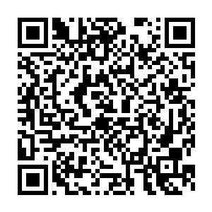 一双明亮而充满灵慧的大眼睛呆呆的盯着不断跳动的火焰一阵出神二维码生成