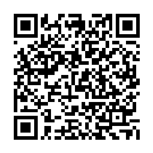 一双暗淡无光的眼里掩饰不住对这个世界的留恋二维码生成