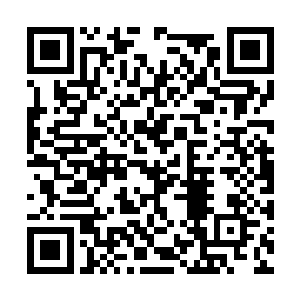 一双有着如鹰看到猎物时一般的目光盯着夜染几秒二维码生成