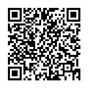 一双水眸复杂的看着前面被她包裹的像个小粽子的凤小熊二维码生成