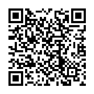 一双沙包大的拳头仿佛已经触碰到了池佳一的胸口二维码生成