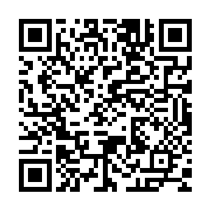 一双淡漠漂亮的眼睛里迸发出来的杀意是多少人都不曾看到过的二维码生成