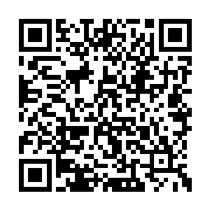 一双温热的手臂从巴克的肩头轻轻抱住了他的头二维码生成