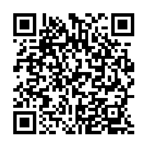 一双满载着侵略xing的双眼虎视眈眈地盯着凌予的那一碗二维码生成