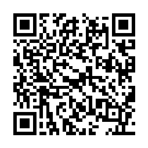 一双漆黑澄澈如天山湖水的眸子正温和的朝她看来二维码生成