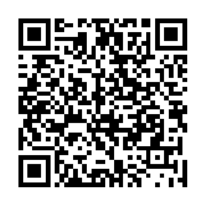 一双狭长的丹凤眼微微上挑有着一股说不出的风情和凌厉二维码生成