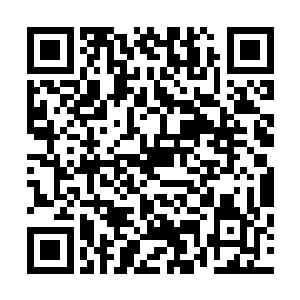 一双眼睛充满惊惧的看着下方正独自在天空中飞舞的轻风剑二维码生成