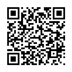 一双眼睛绿油油的盯着不远处的森林二维码生成