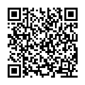 一双美目一瞬不瞬的盯着那片仅有三片花瓣的白色花朵二维码生成