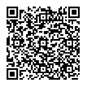 一双美目带着狐疑之色的盯着前方那一群整整齐齐的停在凤来栖客栈外面的三焰神驹二维码生成