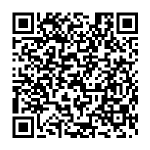 一双诺大的拳头之上的火红色拳套释放着道道一寸长的火红色光芒二维码生成
