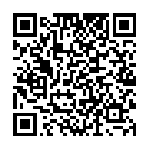 一双黄豆大小的眼珠在释羽薰与白夙两人的手中转悠二维码生成