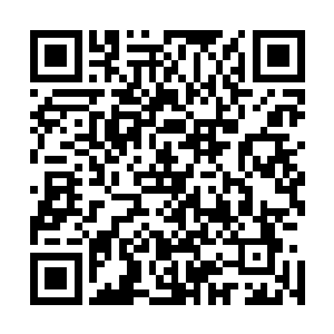 一发暗红色的火球直接将面前一个奇怪的树人焚烧成了灰烬二维码生成