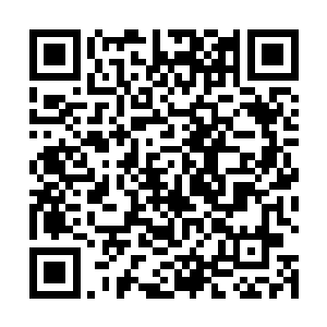 一变的雷兽和星辰巨兽眼神之中也满是无比忌惮的神情二维码生成