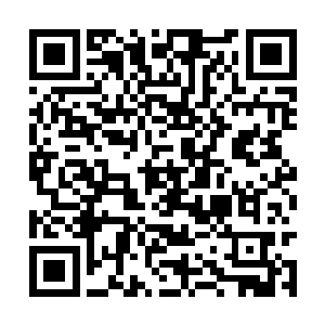 一口就把白老爷子为牧月他们制定的计划给曝光了二维码生成