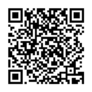 一口气在国内接连开了四家以健身教练美丽著称的健身中心二维码生成